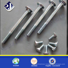 Astm standard carriage bolt